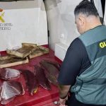 A network dedicated to the theft of bluefin tuna from aquaculture farms in Cartagena and San Pedro del Pinatar is broken up