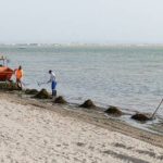The Cartagena City Council will allocate 3 million euros to coastal maintenance and removal of biomass from the beaches of the Mar Menor
