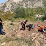The fifth excavation campaign begins in Macael Viejo