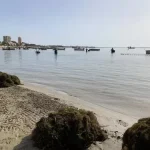 The Community increases six-fold the removal of biomass from the Mar Menor and avoids a “catastrophe”, according to fishermen and scientists