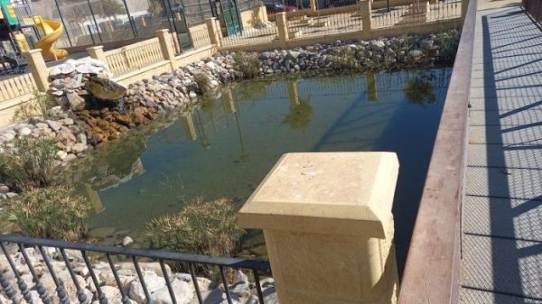The Populares denounce mosquitoes and bad smells due to lack of maintenance in the pond in the Beato Juan Ibáñez park