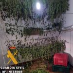 Two people arrested in Líjar for growing marijuana in a shed