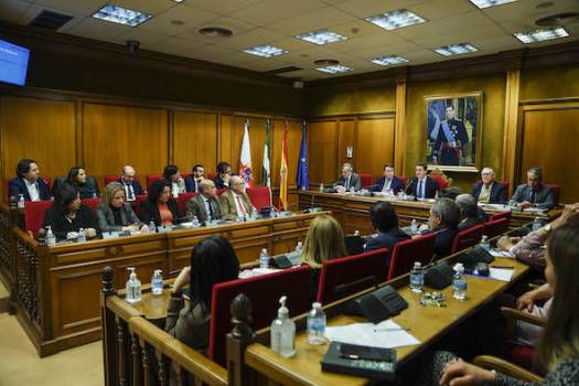 The Plenary of the Almeria Provincial Council approves the Provincial Plans to promote Culture, Cinema and Sport