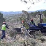 The Regional Government invests 3.1 million euros in 2,700 hectares of public forests in Almeria.