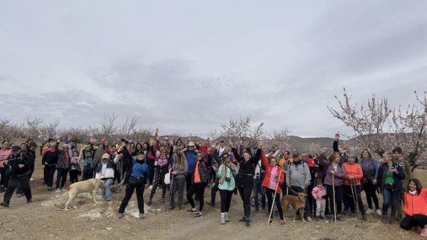 VI Almond Gala in Oria