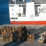 The captain of a merchant ship in Cartagena is arrested for carrying stowaways and facilitating their access to Spain.