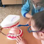 Prevention and promotion of oral health in schoolchildren